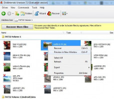 DiskInternals Uneraser™ DiskInternals Uneraser: cómo puedo obtener una vista previa de la foto eliminada.